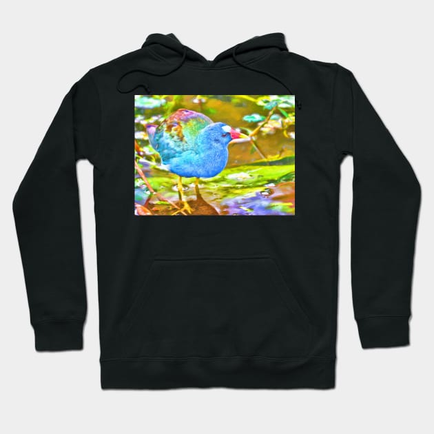 Abstracted Purple Gallinule Digital Painting Hoodie by jillnightingale